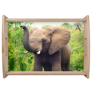 Wild elephant with tropical plants & monogram serving tray