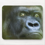 Wild Eyes - Silverback Mousepad