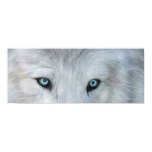 Wild Eyes - White Wolf Eyes Art Poster or Print
