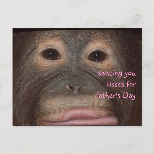 Wild Father's Day Kisses Postcard (Front)