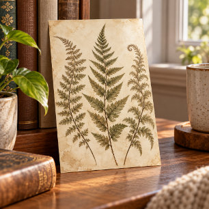 Wild Fern Cabinet Art Print