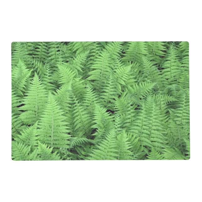Wild Fern Placemat (Back)