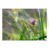 Wild Field Grass - Violet Blossom Greeting Card (Front Horizontal)