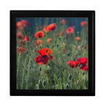 Wild Field of Poppies Gift Box