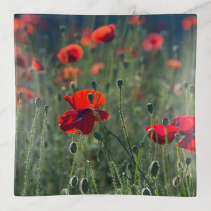 Wild Field of Poppies Trinket Tray
