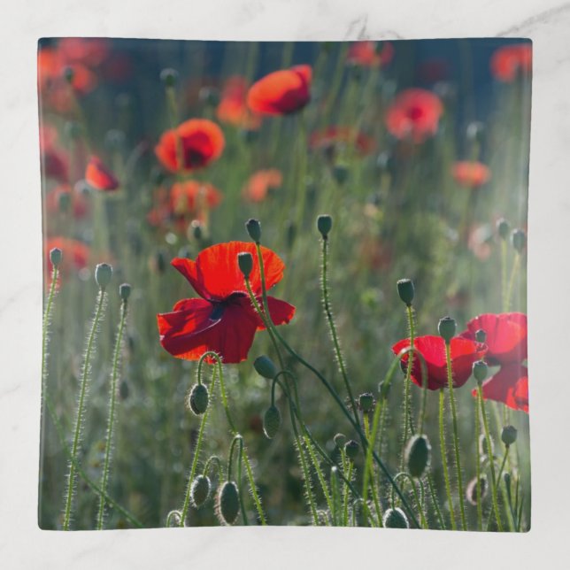 Wild Field of Poppies Trinket Tray (Front)