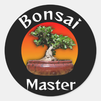 Wild Fig Bonsai Master Sunset Classic Round Sticker