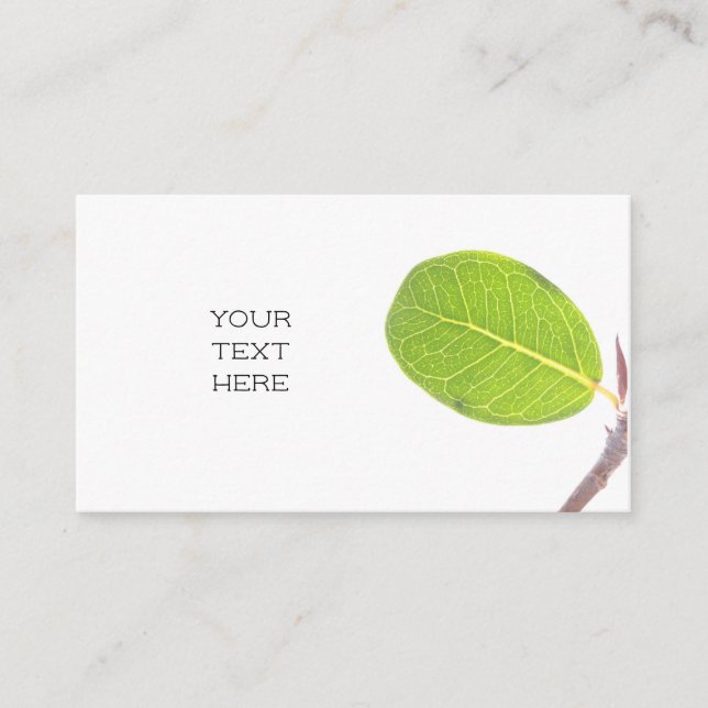 Wild Fig Rich Green Leaf Enclosure Card (Front)
