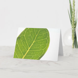 Wild Fig Rich Green Leaf Texture Greeting Card