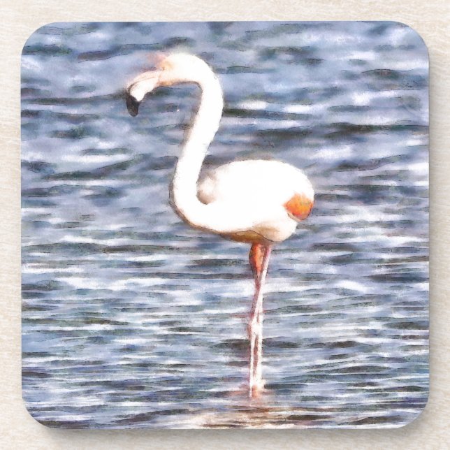 Wild Flamingo Beverage Coaster (Front)