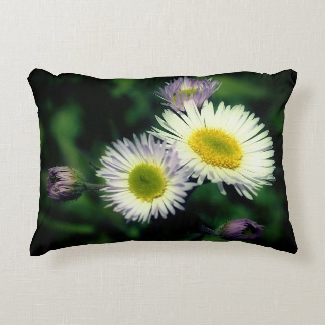 Wild Fleabane Daisy Flower  Accent Pillow (Front)