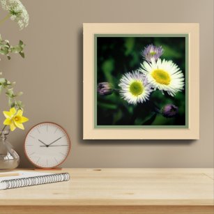Wild Fleabane Daisy Flower Close Up Framed Framed Art