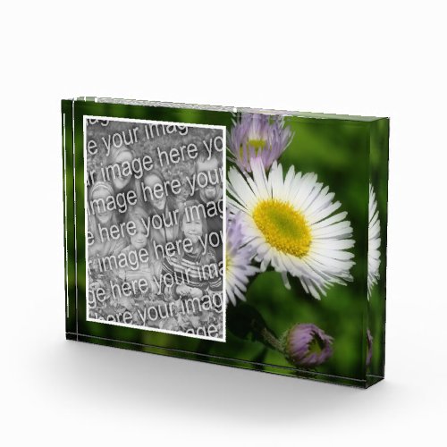 Wild Fleabane Daisy Flower Create Your Own Photo Block