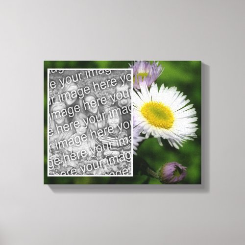 Wild Fleabane Daisy Flower Create Your Own Photo Canvas Print