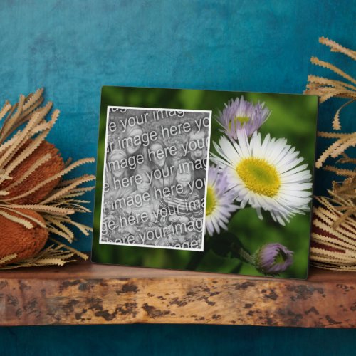 Wild Fleabane Daisy Flower Create Your Own Photo Plaque