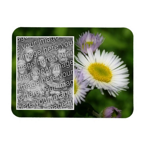 Wild Fleabane Daisy Flower Frame Add Your Photo Magnet