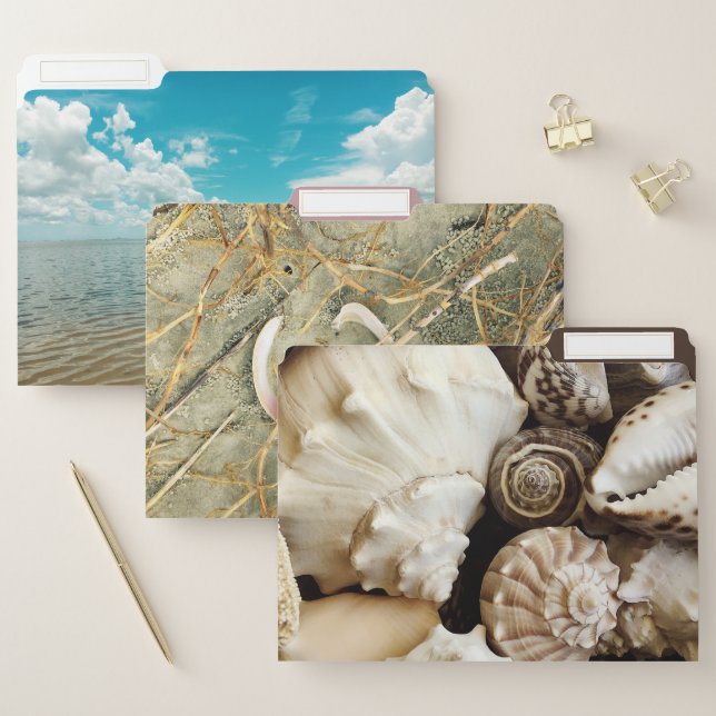 Wild Florida Seashells Lagoon Photography File Folder (Set)
