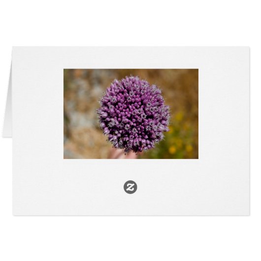 Wild Flower (Back Horizontal)