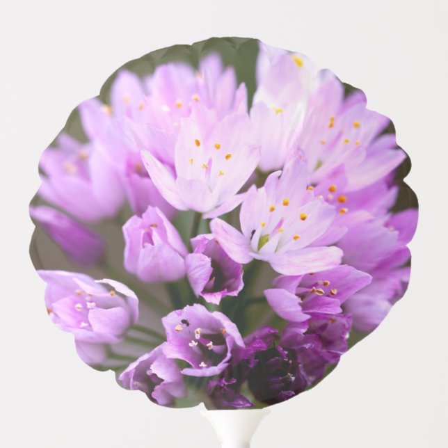 Wild Flower Balloon (Front)