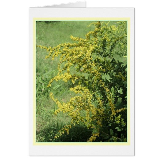 Wild Flower Card (Front)