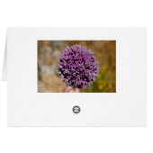 Wild Flower Cards (Back Horizontal)