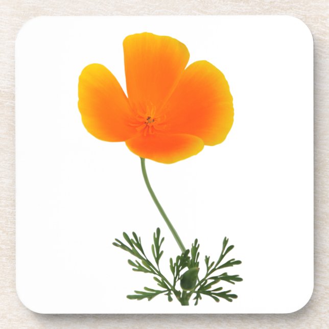 wild flower coaster (Front)