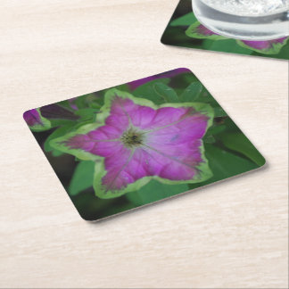 Wild Flower Coasters