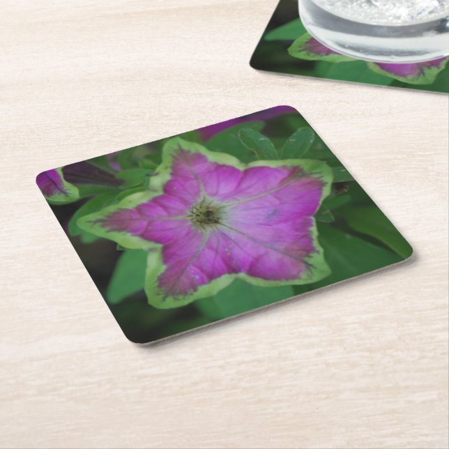 Wild Flower Coasters (Angled)