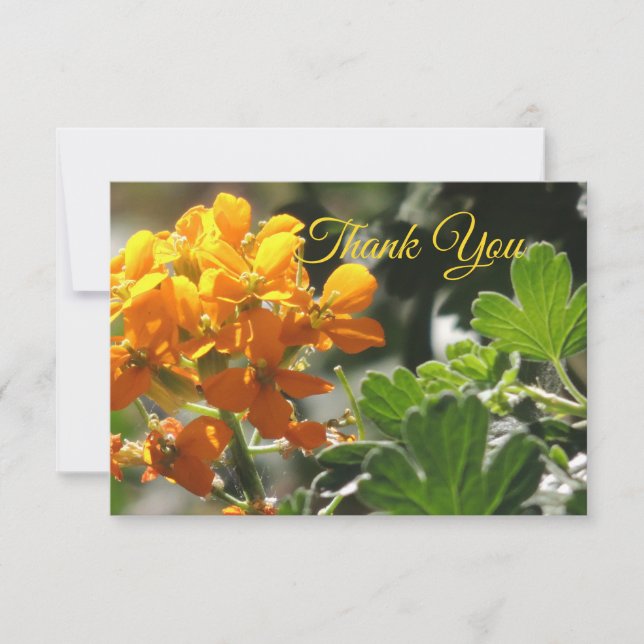 Wild Flower Flat Thank You Card (Front)