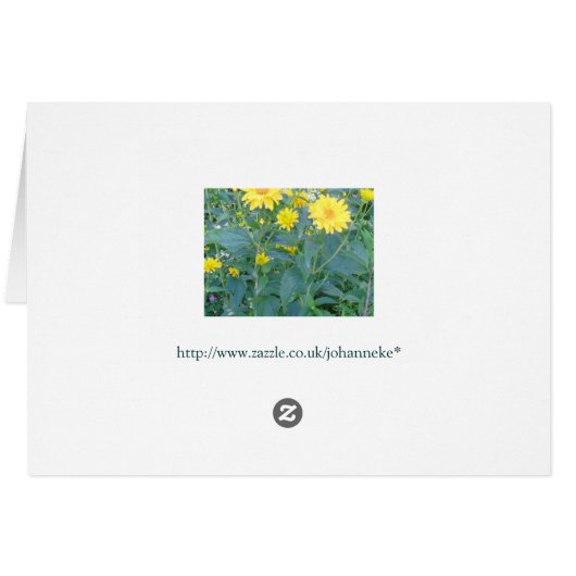 Wild flower garden (Back Horizontal)