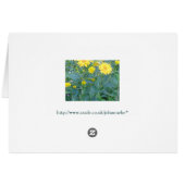 Wild flower garden cards (Back Horizontal)
