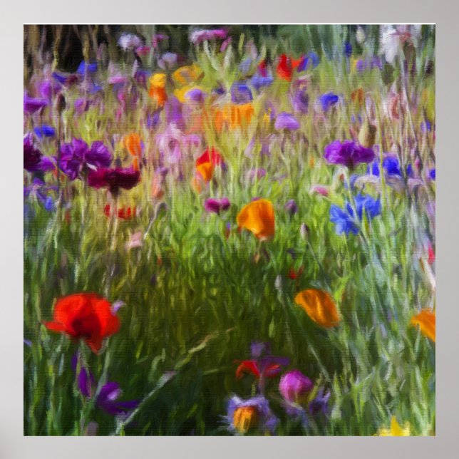 Wild Flower Meadow, Cornflowers And Poppies Poster (Front)