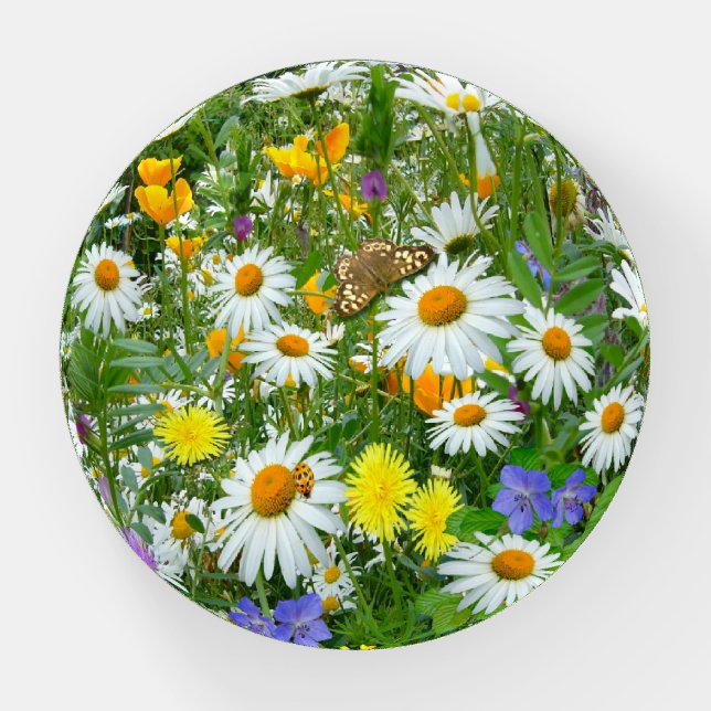 Wild Flower Meadow Round Paperweight (Front)