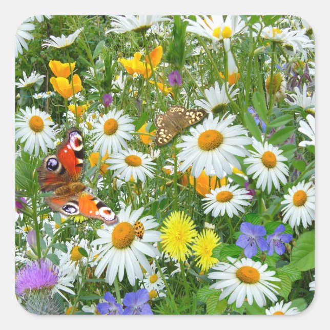 Wild Flower Meadow Square Sticker (Front)