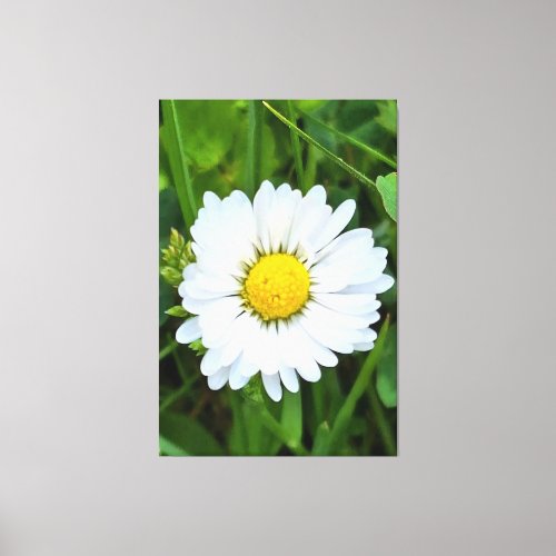 Wild Flower Romania – Botanical Macro Photography Canvas Print