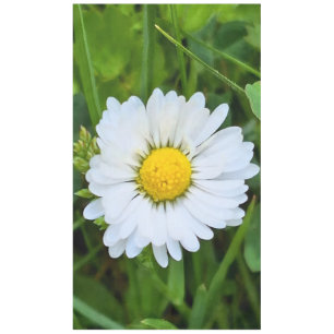 Wild Flower Romania – Botanical Macro Photography Tablecloth