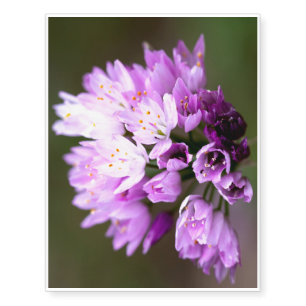 Wild Flower Temporary Tattoos