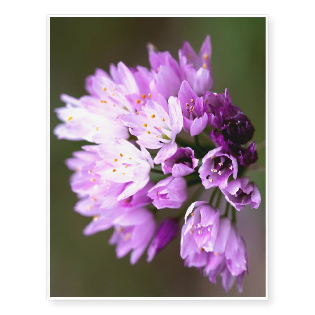 Wild Flower Temporary Tattoos (Front)
