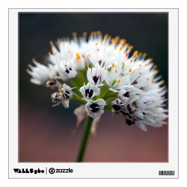 Wild Flower Wall Sticker (Front)