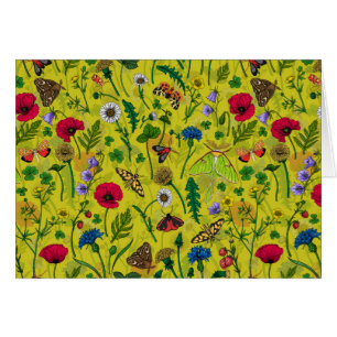 Wild flowers and moths on green cards