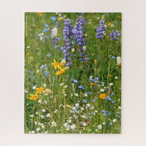 Wild Flowers _ Big Horn Mountains Jigsaw Puzzle