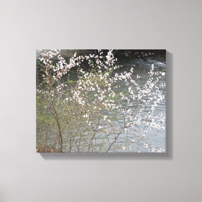 WILD FLOWERS  CANVAS PRINT (Front)