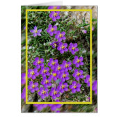 Wild flowers Card (Front)
