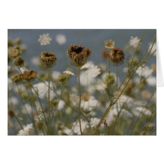 Wild Flowers Cards