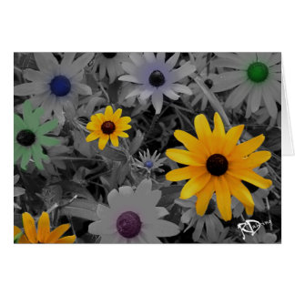 Wild Flowers Cards