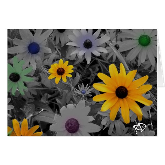 Wild Flowers Cards (Front Horizontal)