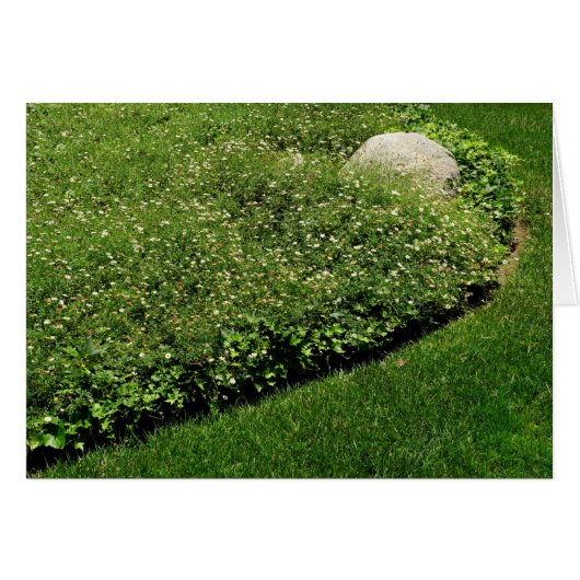 Wild Flowers Green Grass (Front Horizontal)