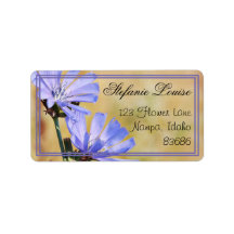 Wild Flowers in the Morning