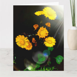 Wild flowers in the sunshine card