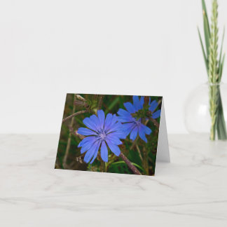 Wild flowers letterpress thank you card